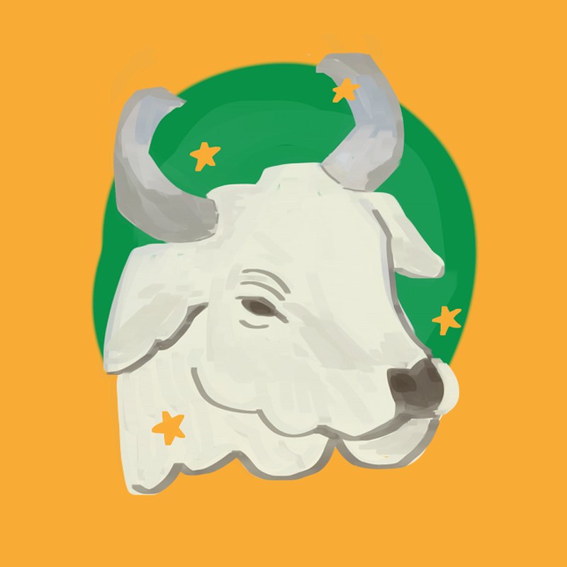 Sapi Mooo